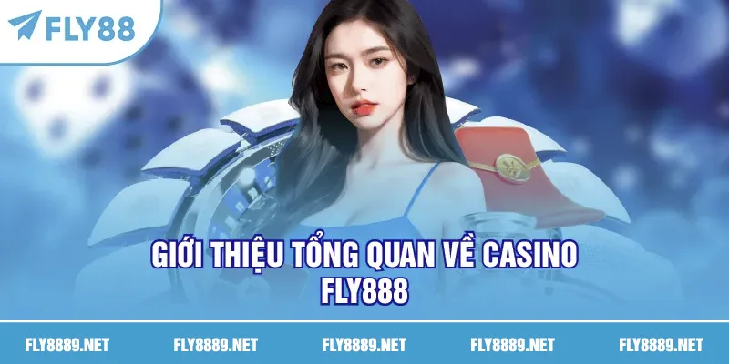 Giới thiệu tổng quan về casino FLY888