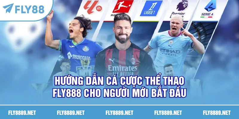 Hướng dẫn cá cược thể thao FLY888 cho người mới bắt đầu